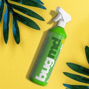 img 1 attached to Refillable Spray Bottle (32oz) for BugMD 🐜 Concentrate 4oz: An Ideal Companion for Effective Pest Control