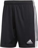 tastigo 19 shorts for men by adidas logo