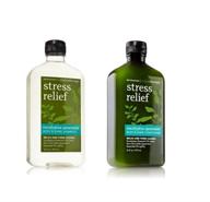 🌿 bath and body works eucalyptus spearmint body and shine shampoo & conditioner set 16oz each - refreshing hair care combo logo