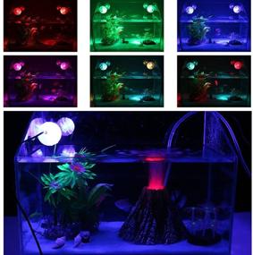 img 2 attached to 🐠 Supyouleg LED Aquarium Light Fixtures: Enhance Your Saltwater and Freshwater Aquarium with Small Gallon Submersible Planted Fish Tank Lights