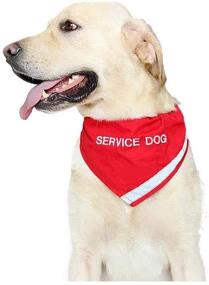 img 1 attached to 🐾 Doggie Stylz Service Dog Bandana with Reflective Strip for Night Safety, Collar Included- Black Small (Neck 10-16'')