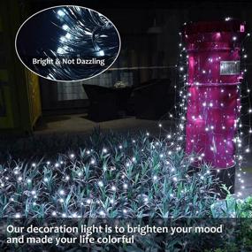 img 2 attached to 🎄 Dchola Christmas Net Lights: 200 LED Outdoor Mesh Lights for Bushes, Patio, Hedge, Porch Ceiling - 8-Lighting Modes, Waterproof Fairy Lights - 9.8 x 6.6ft (White)