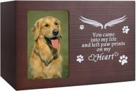 🐾 pet memorial urn for ashes - cat or dog memory box - pet memorial keepsake - cremation urn with photo frame - wooden bamboo urn for dog memorial gifts - pet loss gifts - dog remembrance gift logo