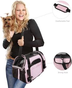 img 1 attached to 🐾 JESPET Soft-Sided Kennel Pet Carrier for Small Dogs, Cats, Puppy - Airline Approved Cat Carriers Dog Carrier Collapsible - Travel Handbag & Car Seat