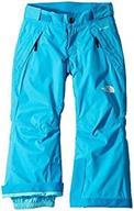 north face freedom insulated acoustic логотип