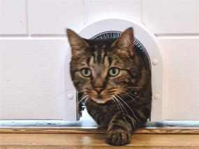 img 4 attached to 🐱 CATHOLE Cat Door ECO Model - Interior Cat Door with Removable Grooming Brush for Easy Installation and Enhanced Performance... Now Available in Two Models