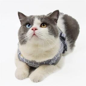 img 3 attached to 🐱 Escape-Proof Cat Harness and Leash: Adjustable Soft Vest for Walking - M, Grey