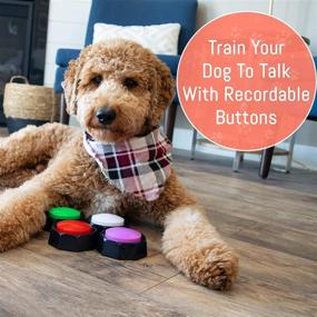 img 3 attached to 🐶 Chip's Pet Stuff: Recordable Training Buttons for Dogs - Enable Communication and Training with Your Puppy - Set of 4, Also Great as Game Buzzers, Doggie Doorbells, Speech Aids, & More