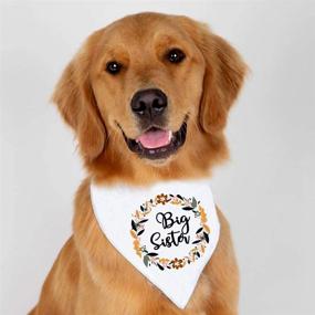 img 3 attached to 👧 Big Sister Pregnancy Announcement Dog Bandana: Perfect Gender Reveal Photo Prop and Gift for Dog Lovers and Owners