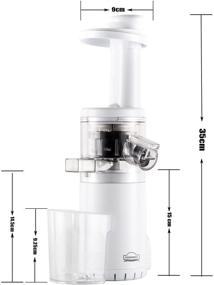 DEWINNER Slow Masticating Mini Juicer Extractor Easy to Clean, juicer  machine