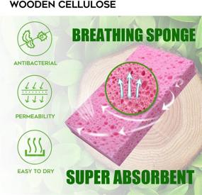 img 2 attached to 🧽 16-Pack Biodegradable Natural Sponge: Non-Scratch Cleaning Scrub Colored Sponge for Kitchen and Dishwashing