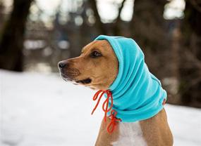 img 1 attached to 🐶 RC Pet Products Summit Dog Snood - Warmer for Dog Neck and Ears