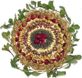 img 1 attached to 🌸 Набор из 8 мешков с сушеных цветов и трав для декора и ремесла с ароматами розы, лаванды, жасмина и ромашки