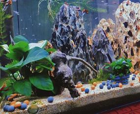 img 2 attached to MEIMEI Tourmaline Balls: Betta Fish Tank Accessories with Shrimp Mineral Supplement for Freshwater Aquariums, Substrate Decoration, and Nutritious Food for Betta Fish, Goldfish, Snails, and Live Shrimp