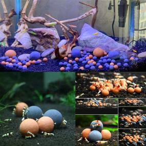 img 3 attached to MEIMEI Tourmaline Balls: Betta Fish Tank Accessories with Shrimp Mineral Supplement for Freshwater Aquariums, Substrate Decoration, and Nutritious Food for Betta Fish, Goldfish, Snails, and Live Shrimp