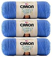 🧶 berry blue caron h9700b-9609 simply soft brites yarn logo