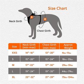 img 3 attached to 🐾 Lesure Dog Harness No Pull - Reflective Adjustable Vest with Handle for Easy Walk: Ideal for Small, Medium, and Large Dogs