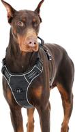 🐾 lesure dog harness no pull - reflective adjustable vest with handle for easy walk: ideal for small, medium, and large dogs логотип