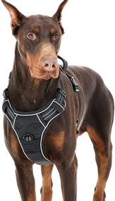 img 4 attached to 🐾 Lesure Dog Harness No Pull - Reflective Adjustable Vest with Handle for Easy Walk: Ideal for Small, Medium, and Large Dogs