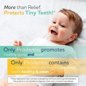 img 1 attached to BioGaia Prodentis Baby: Oral Care for Teething Babies, Promoting Happy and Healthy Gums, Protecting Tiny Teeth with Safe and Proven Probiotics, Ideal Addition to Teethers, 25 Day Supply