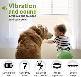 img 1 attached to 🐶 Advanced Rechargeable Dog No Bark Collar with Smart Detection Vibration and Harmless Shock - Effective Anti Barking Device for Small, Medium, and Large Dogs