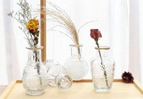 img 2 attached to 🏺 Vintage Style Set of 5 Single Bud Vase - Perfect for Centerpieces, Events & Home Décor