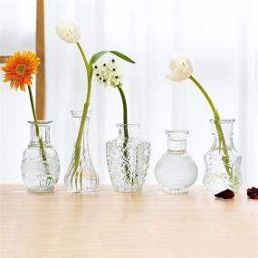 img 3 attached to 🏺 Vintage Style Set of 5 Single Bud Vase - Perfect for Centerpieces, Events & Home Décor