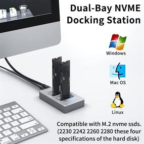 img 2 attached to 📁 ACASIS M.2 NVMe Duplicator Cloner Docking Station: Dual-Bay Offline Clone, USB Type-C, Support up to 8TB M2 SSD M Key Hard Drives Enclosure