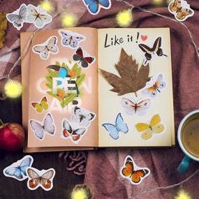 img 1 attached to 🦋 Colorful 500-Piece Butterfly Stickers Set: Waterproof Vinyl Decals for Scrapbook, Journal Planner, Phone Case, Water Bottles, Laptops, Walls & Parties