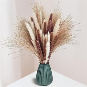 img 4 attached to 60Pcs Natural Dried Pampas Grass