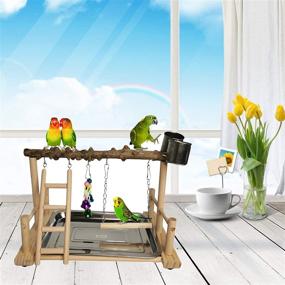 img 3 attached to Wooden Hamiledyi Parrot Playground Bird Playstand with Feeder Cups, Toys, and Exercise Perch - Ideal for Cockatiels, Conures, Lovebirds - Life Activity Center Training Stand with Hanging Swing and Ladder