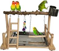 wooden hamiledyi parrot playground bird playstand with feeder cups, toys, and exercise perch - ideal for cockatiels, conures, lovebirds - life activity center training stand with hanging swing and ladder logo