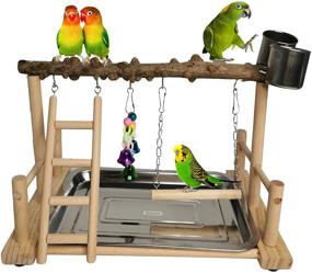 img 4 attached to Wooden Hamiledyi Parrot Playground Bird Playstand with Feeder Cups, Toys, and Exercise Perch - Ideal for Cockatiels, Conures, Lovebirds - Life Activity Center Training Stand with Hanging Swing and Ladder