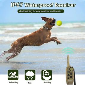 img 3 attached to 🐶 Waterproof Dog Electronic Training Collar: Rechargeable Shock Collar with 2000Ft Remote Range for Small, Medium, and Large Dogs