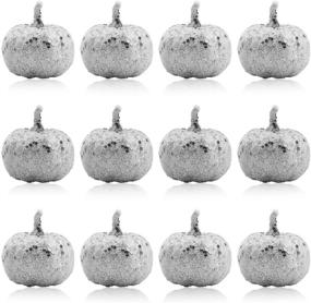 img 3 attached to 🎃 12 Pieces Mini Artificial Silver Pumpkins for Halloween, Thanksgiving and Autumn Theme Home Decor - Lifelike Simulation Fake Fruit Vegetables for Party Decorations