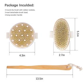 img 3 attached to 🧼 Set of 2 Dry Brushing Body Brushes: Natural Bristle Exfoliating Brush for Dry Skin, Shower Back Scrubber with Long Handle for Cellulite Massage and Lymphatic Drainage, Enhances Blood Circulation