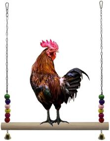img 4 attached to 🐔 Enhance Your Flock's Fun and Training with the Lanermoon Chicken Swing - Natural Wooden Toy with Colorful Hanging Bells for Hens, Birds, and Parrots