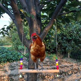 img 1 attached to 🐔 Enhance Your Flock's Fun and Training with the Lanermoon Chicken Swing - Natural Wooden Toy with Colorful Hanging Bells for Hens, Birds, and Parrots