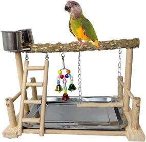 img 4 attached to 🐦 Enhance Your Parrot's Habitat: kathson Parrots Playground Bird Perch Wood Playstand Stand with Ladder Swing Feeder Cups Chew Toy for Parakeet Conure Cockatiel Budgie Lovebird Finch Small Birds