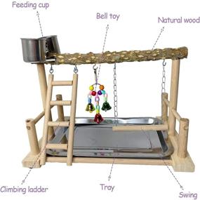 img 2 attached to 🐦 Enhance Your Parrot's Habitat: kathson Parrots Playground Bird Perch Wood Playstand Stand with Ladder Swing Feeder Cups Chew Toy for Parakeet Conure Cockatiel Budgie Lovebird Finch Small Birds