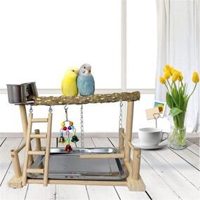 img 3 attached to 🐦 Enhance Your Parrot's Habitat: kathson Parrots Playground Bird Perch Wood Playstand Stand with Ladder Swing Feeder Cups Chew Toy for Parakeet Conure Cockatiel Budgie Lovebird Finch Small Birds