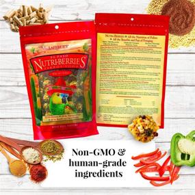 img 1 attached to Набор образцов корма для домашних птиц LAFEBER'S Gourmet Nutri-Berries: 🐦 негенетически модифицированные ингредиенты высшего качества для попугаев (4 шт., по 10 унций каждый)