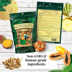 img 2 attached to LAFEBER'S Gourmet Nutri-Berries Pet Bird Food Variety Sampler Bundles: 🐦 Non-GMO, Human-Grade Ingredients for Parrots (4 Pk Bundle, 10 oz. Each)
