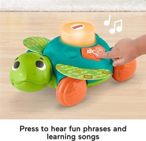 img 2 attached to 🐢 Fisher-Price Linkimals Sit-to-Crawl Sea Turtle: Illuminating Musical Baby Crawling Toy
