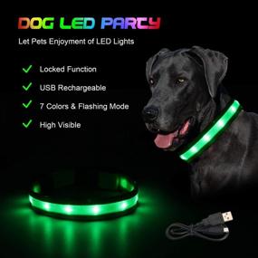 img 3 attached to 🐶 2021 Newest Rechargeable LED Dog Collar Lights by HAOPINSH - Lighted Up Safety Collar for Small, Medium, Large Dogs - USB Charger - 8 Changing Colors