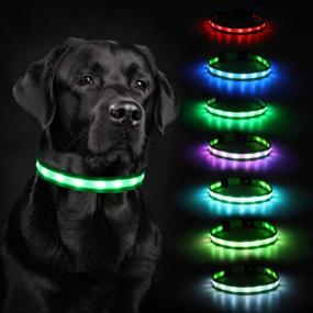 img 4 attached to 🐶 2021 Newest Rechargeable LED Dog Collar Lights by HAOPINSH - Lighted Up Safety Collar for Small, Medium, Large Dogs - USB Charger - 8 Changing Colors