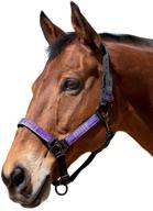 🐎 kensington premium halter: stronger than leather with comfortable padded nose piece & identical fit throat snap logo