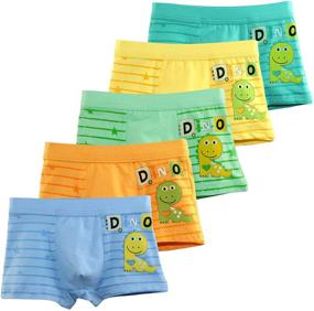 img 4 attached to BOOPH Dinosaur 🦖 Toddler Multicolored Boys' Underwear Clothing