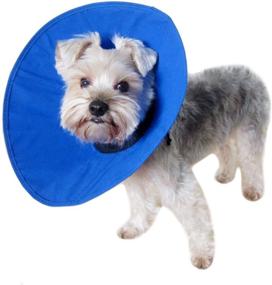 img 4 attached to Alfie Pet - Cobalt Recovery Collar for Dogs & Cats - Blue Color