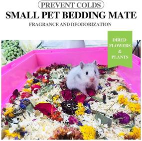 img 3 attached to 🐇 LIU NING Small Pet Bedding Mate - Mixed Dry Flower and Grass Bedding, Ideal for Rabbit, Guinea Pig, Rat, Hamster - 0.7 Ounce (Pack of 8)